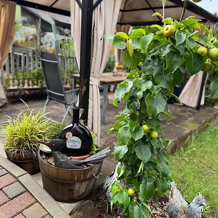 2 Bedroom In Wine Region, M Thurgau * Ipsheim